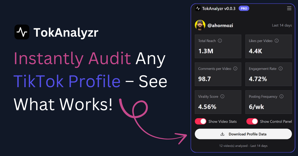 TikTok Profile Analyzer & Auditer - TokAnalyzr